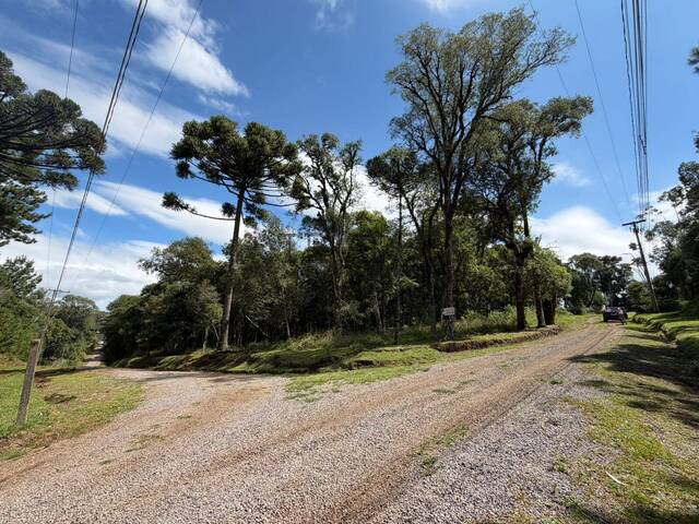 #TRD752 - Terreno em condomínio para Venda em Flores da Cunha - RS