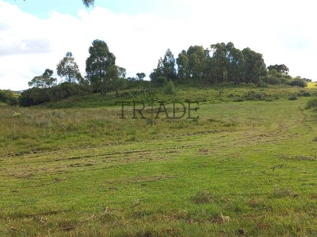 #TRD759 - Área para Venda em Caxias do Sul - RS