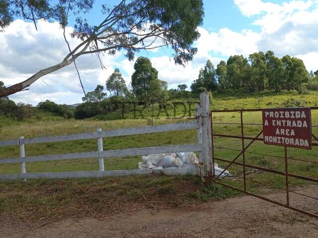 #TRD759 - Área para Venda em Caxias do Sul - RS