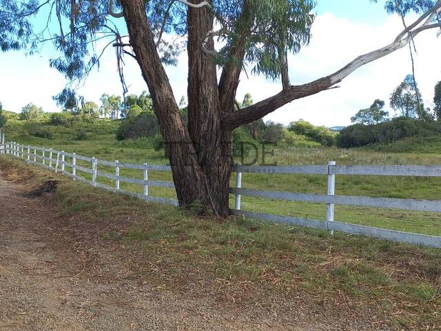 #TRD759 - Área para Venda em Caxias do Sul - RS
