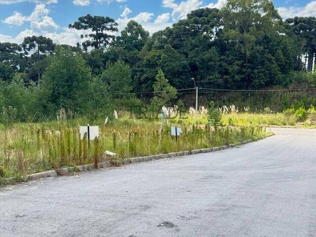 Área para Venda em Caxias do Sul - 4