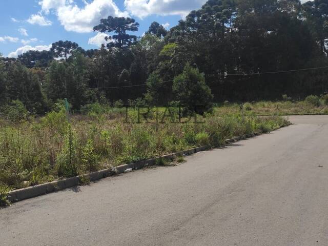 Área para Venda em Caxias do Sul - 5