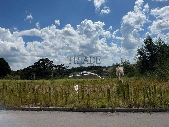 #TRD764 - Área para Venda em Caxias do Sul - RS