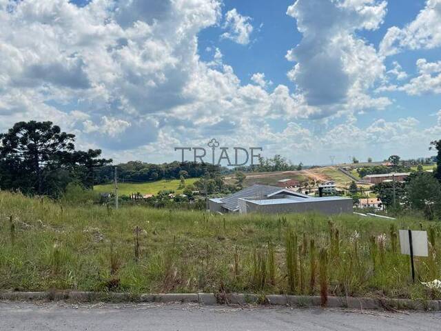 #TRD764 - Área para Venda em Caxias do Sul - RS