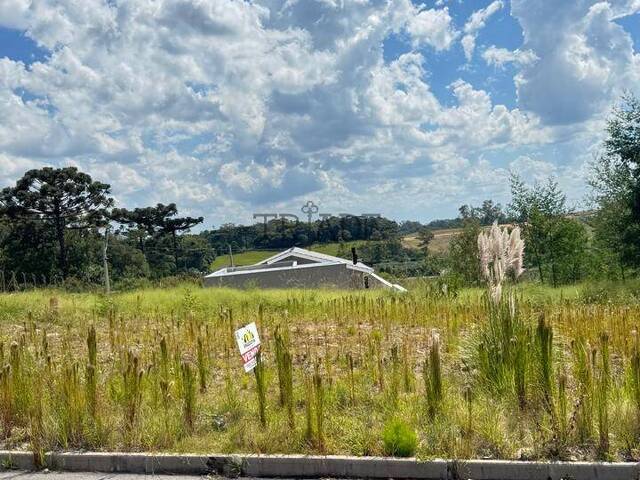 Área para Venda em Caxias do Sul - 5