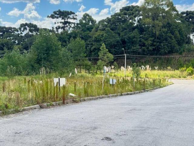 Área para Venda em Caxias do Sul - 4