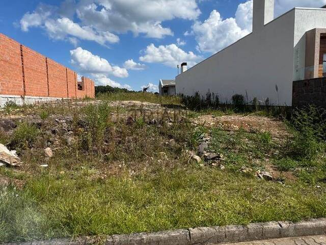 #TRD767 - Área para Venda em Flores da Cunha - RS