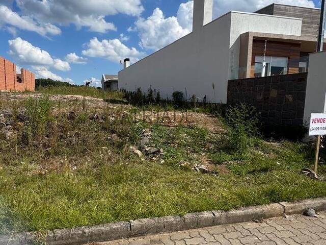 #TRD767 - Área para Venda em Flores da Cunha - RS