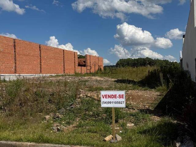 Área para Venda em Flores da Cunha - 4
