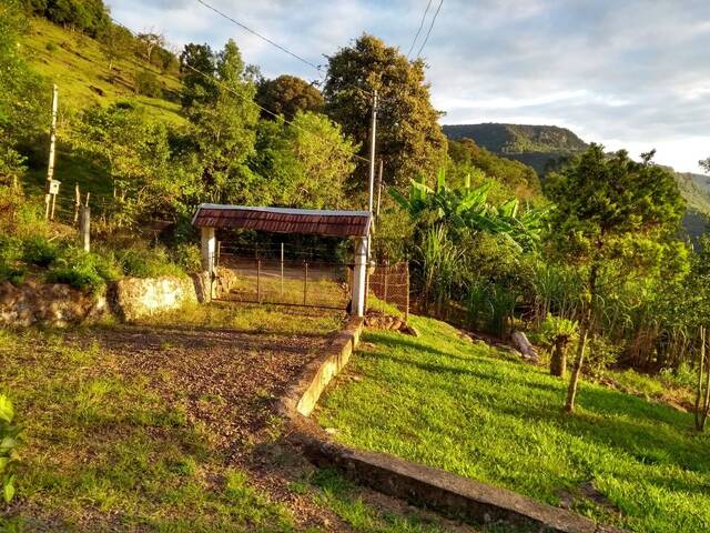 #TRD771 - Chácara para Venda em Caxias do Sul - RS