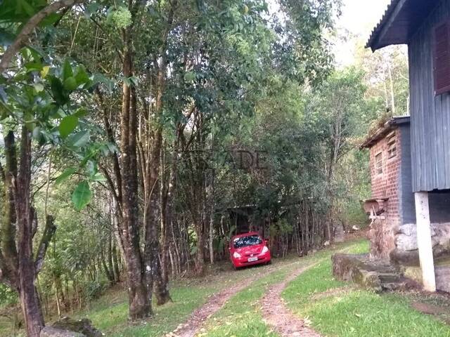#TRD771 - Chácara para Venda em Caxias do Sul - RS