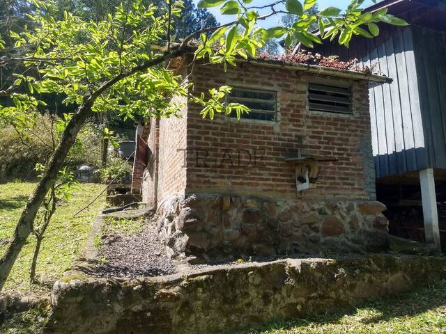 Chácara para Venda em Caxias do Sul - 5