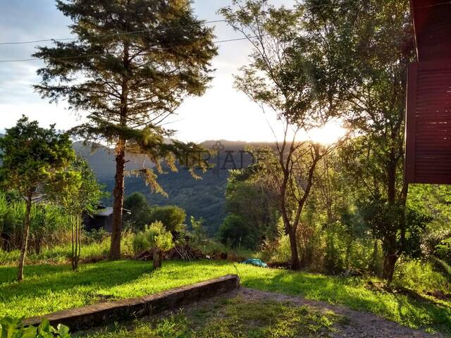 Chácara para Venda em Caxias do Sul - 4