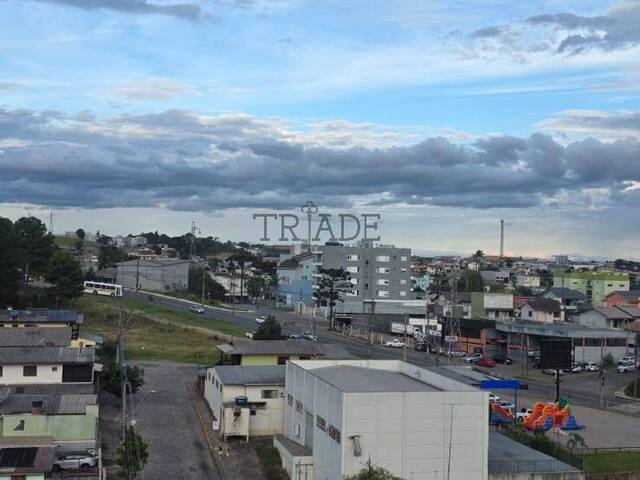 Apartamento para Locação em Caxias do Sul - 4