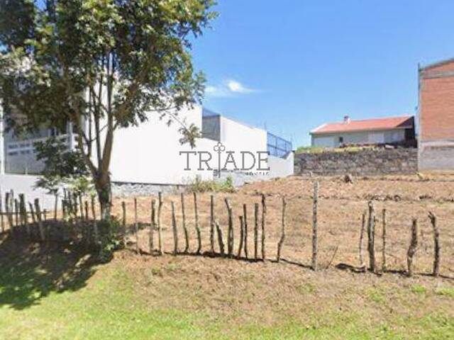 Venda em Bela Vista - Caxias do Sul