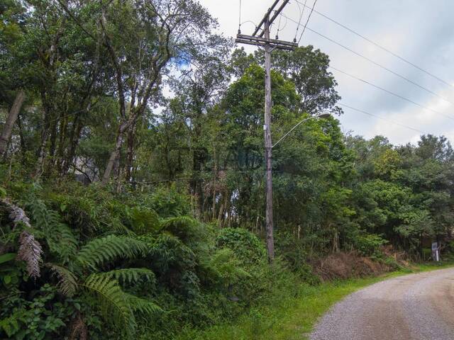 Área para Venda em Caxias do Sul - 2