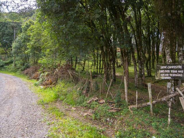Área para Venda em Caxias do Sul - 3