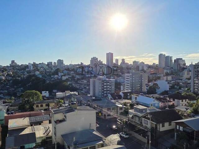 Apartamento para Venda em Caxias do Sul - 5