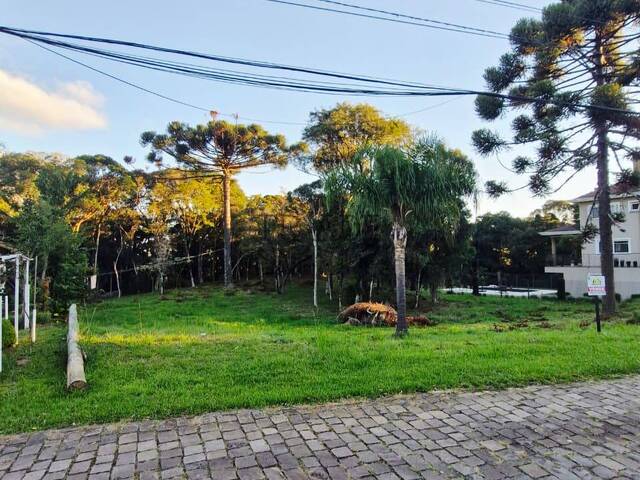 #trd839 - Área para Venda em Caxias do Sul - RS