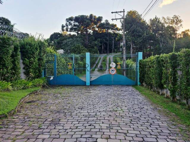 #trd839 - Área para Venda em Caxias do Sul - RS