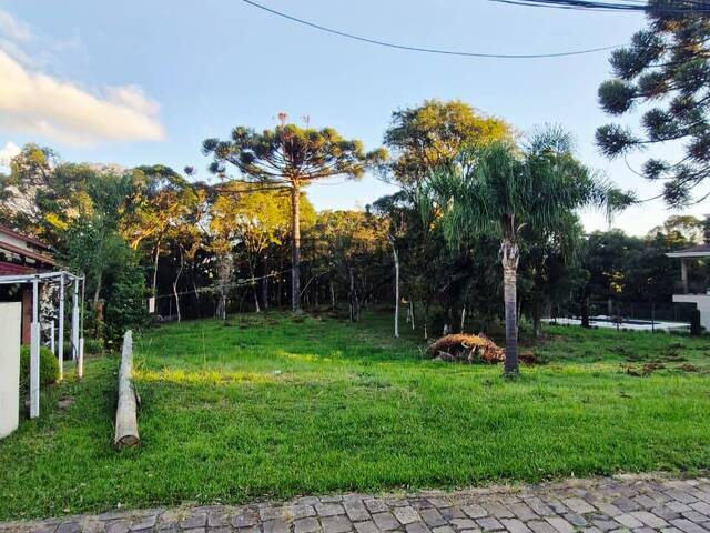 #trd839 - Área para Venda em Caxias do Sul - RS