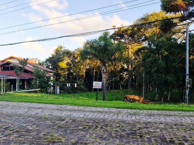 Área para Venda em Caxias do Sul - 4