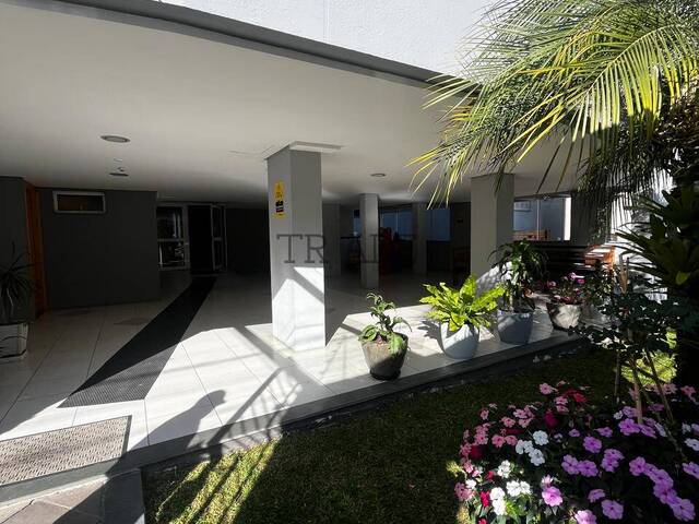 Apartamento para Locação em Caxias do Sul - 2