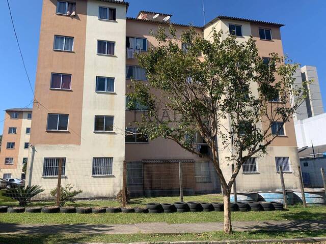 Apartamento para Venda em Caxias do Sul - 2